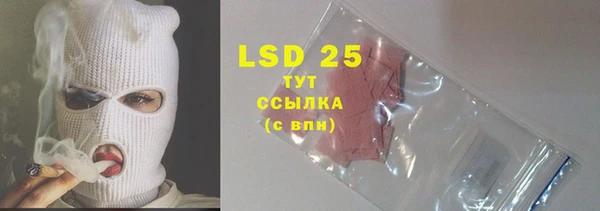 apvp Пересвет